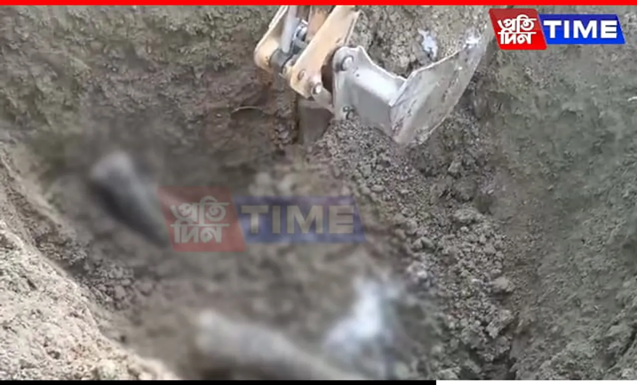 Buried Remains Of Wild Elephant Found In NRL Township Sparks Outrage